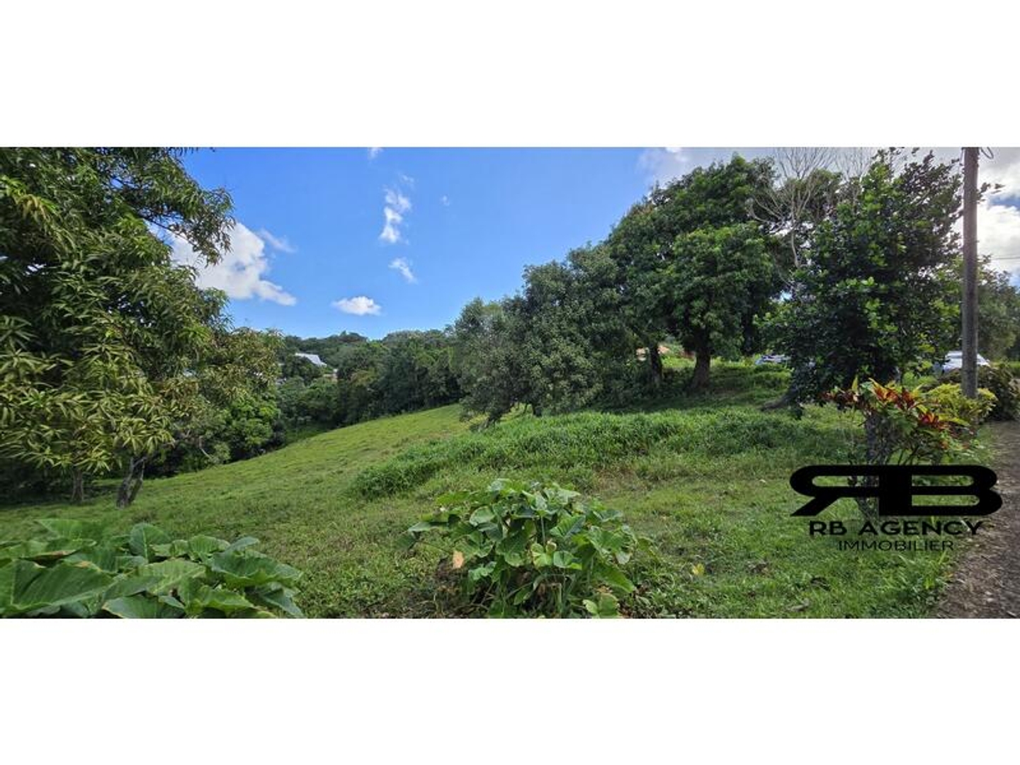 Terrain à vendre - 1373m2 - Le Robert (97231)