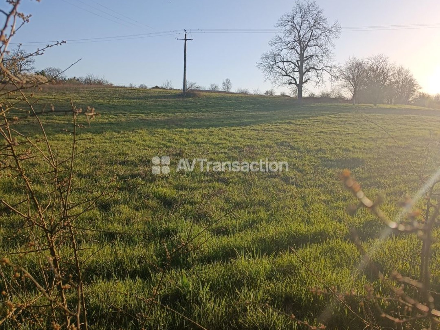 TERRAIN A VENDRE COLOMBINE
