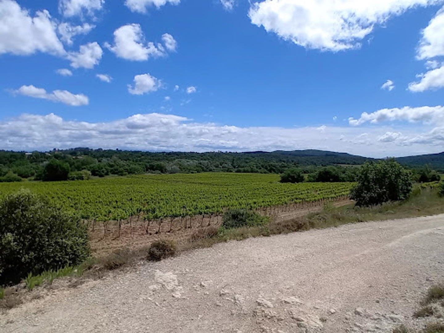Vignoble 3400000 m²