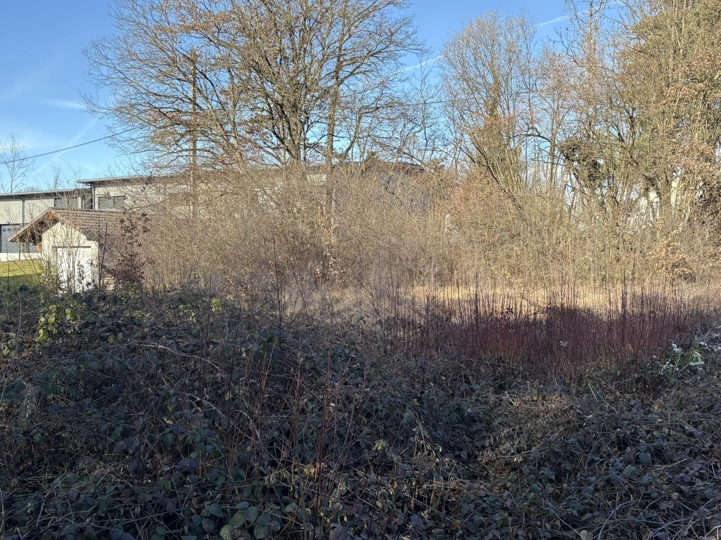 Terrain à vendre - 479m2 - Allinges (74200)