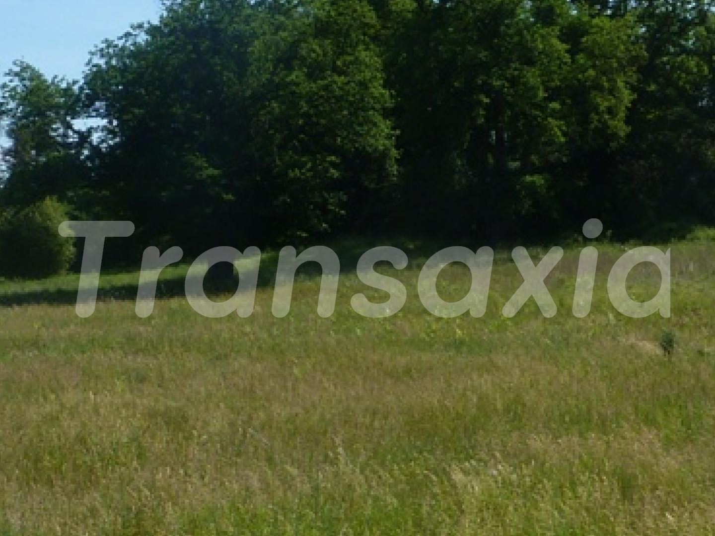 TERRAIN A BATIR LISIERE FORET