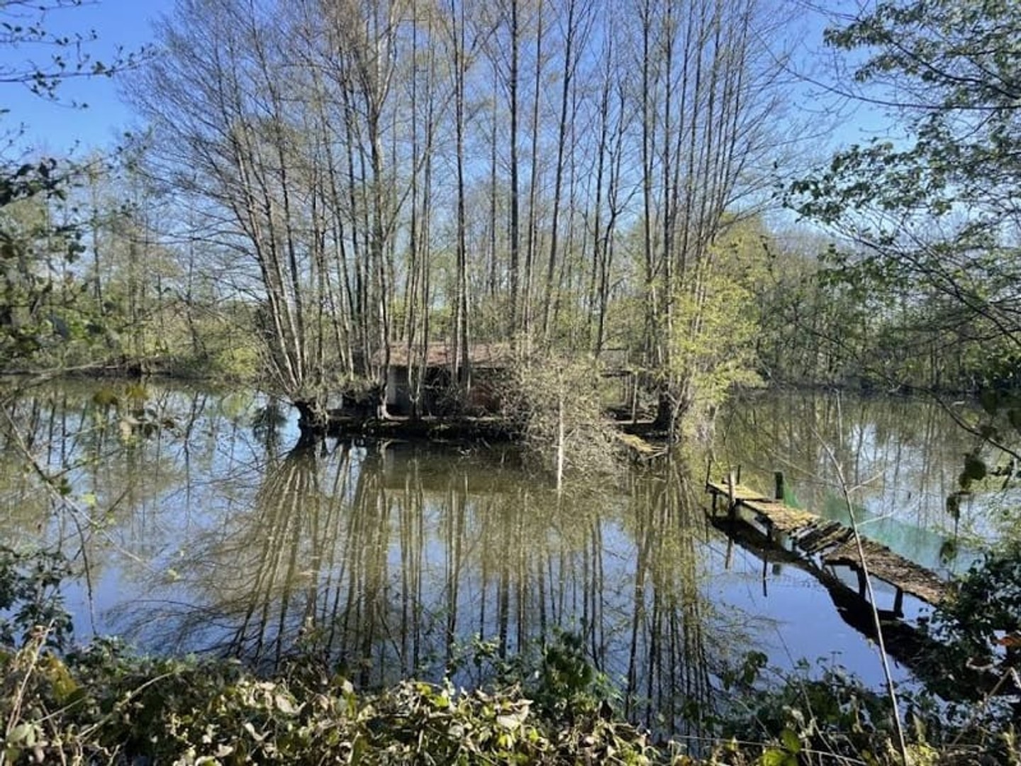 Terrain à vendre - 8000m2 - Authon-Du-Perche (28330)