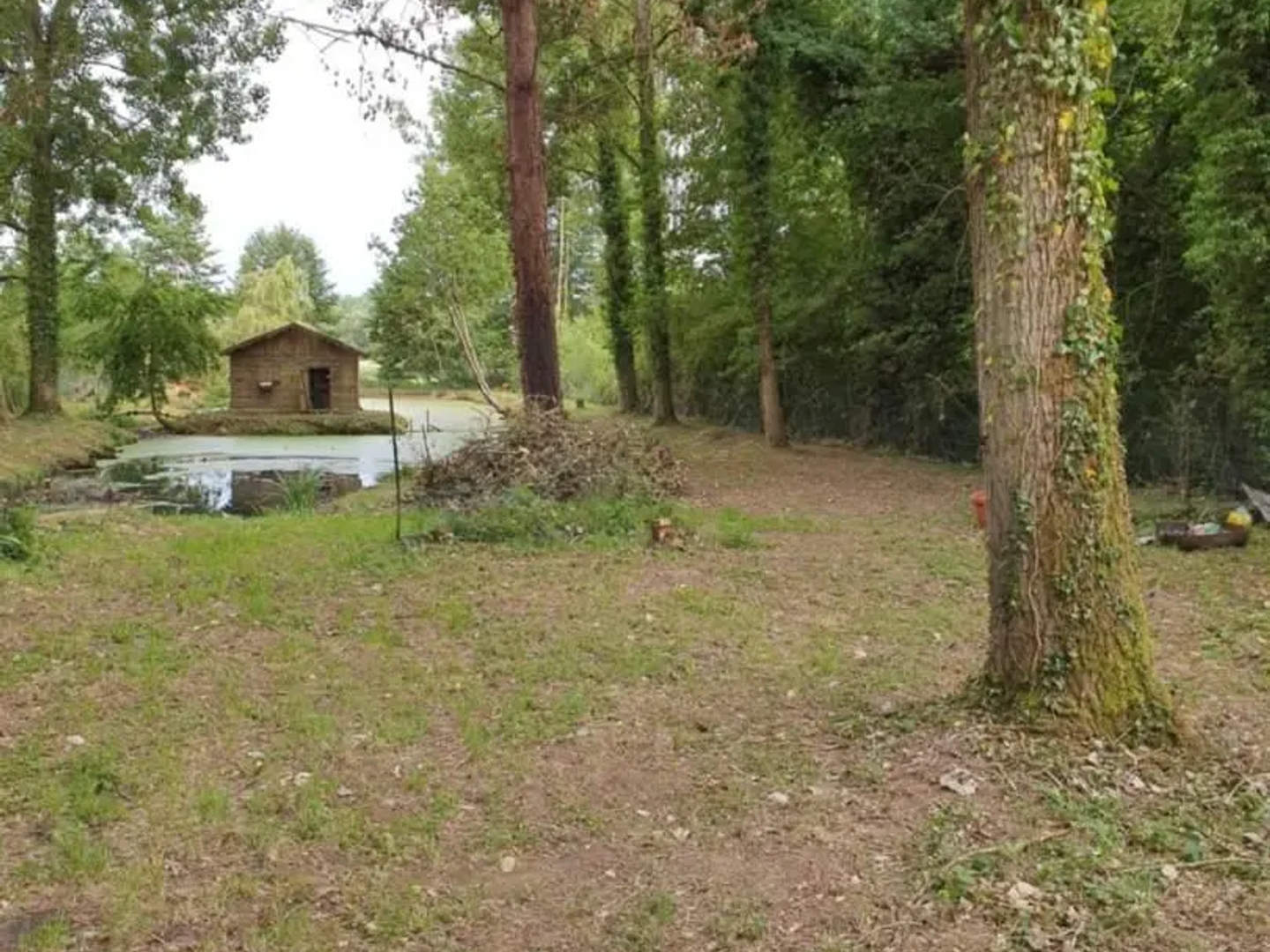 Terrain 2325 m²