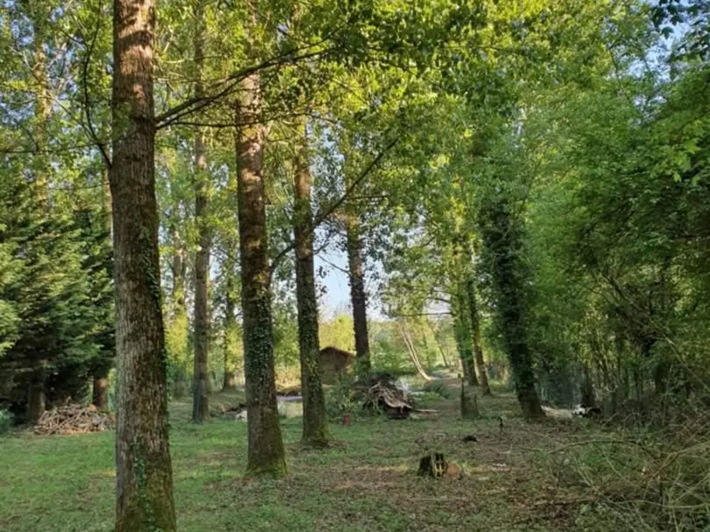 Terrain à vendre - 2325m2 - Guise (02120)