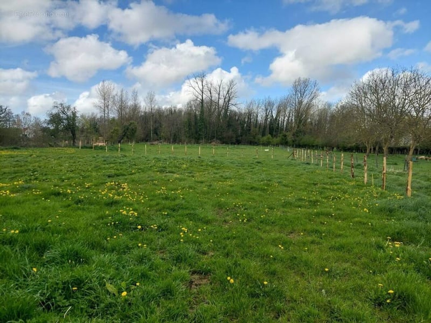 Terrain 1166 m²
