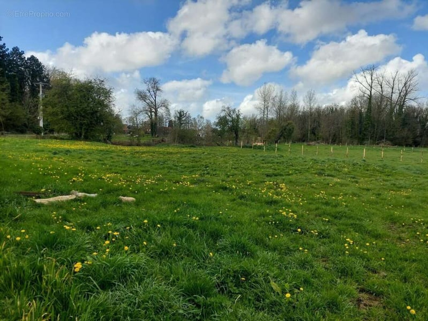 Terrain à vendre - 1166m2 - Arras (62000)