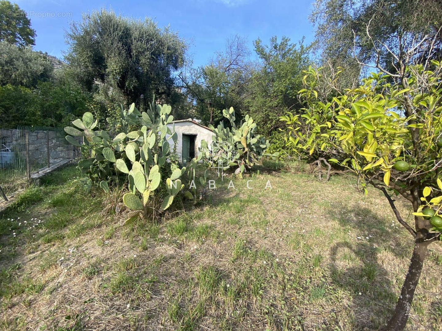 Terrain 1793 m²