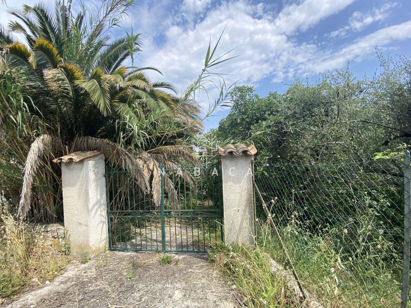 Terrain à vendre - 1793m2 - Le Bar-Sur-Loup (06620)