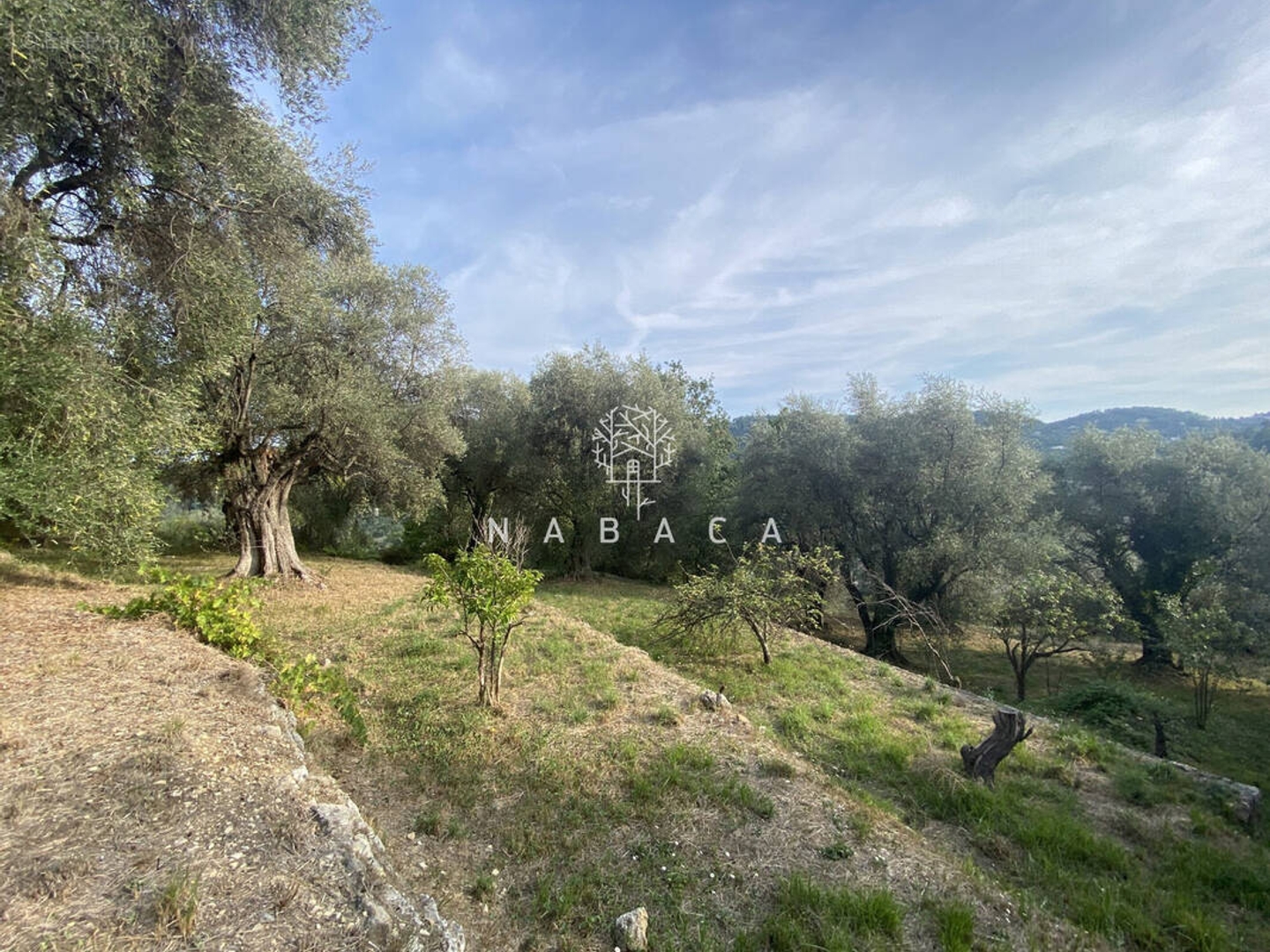 Terrain à vendre - 1793m2 - Le Bar-Sur-Loup (06620)