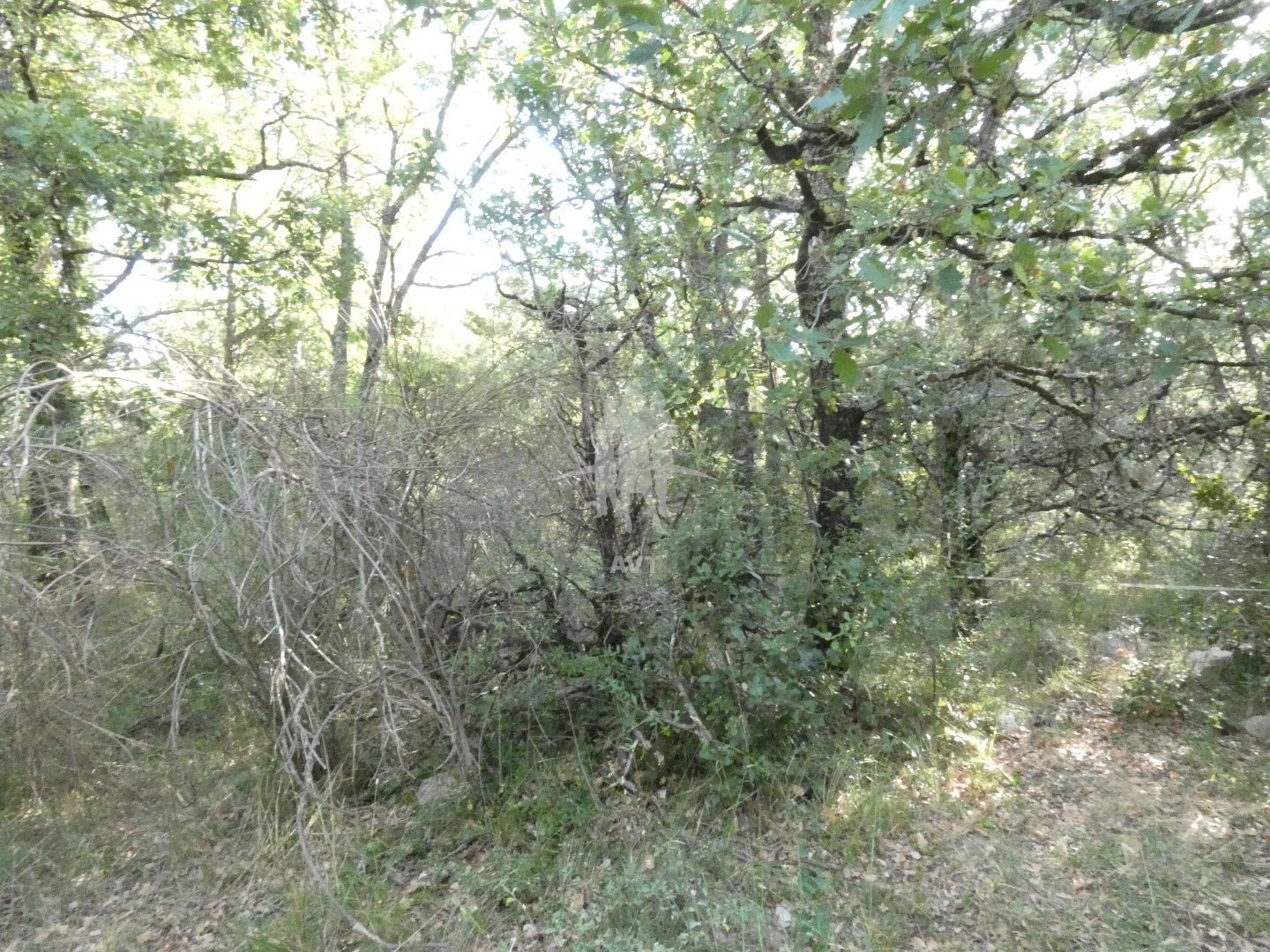 Terrain à vendre - 5240m2 - Bargemon (83830)
