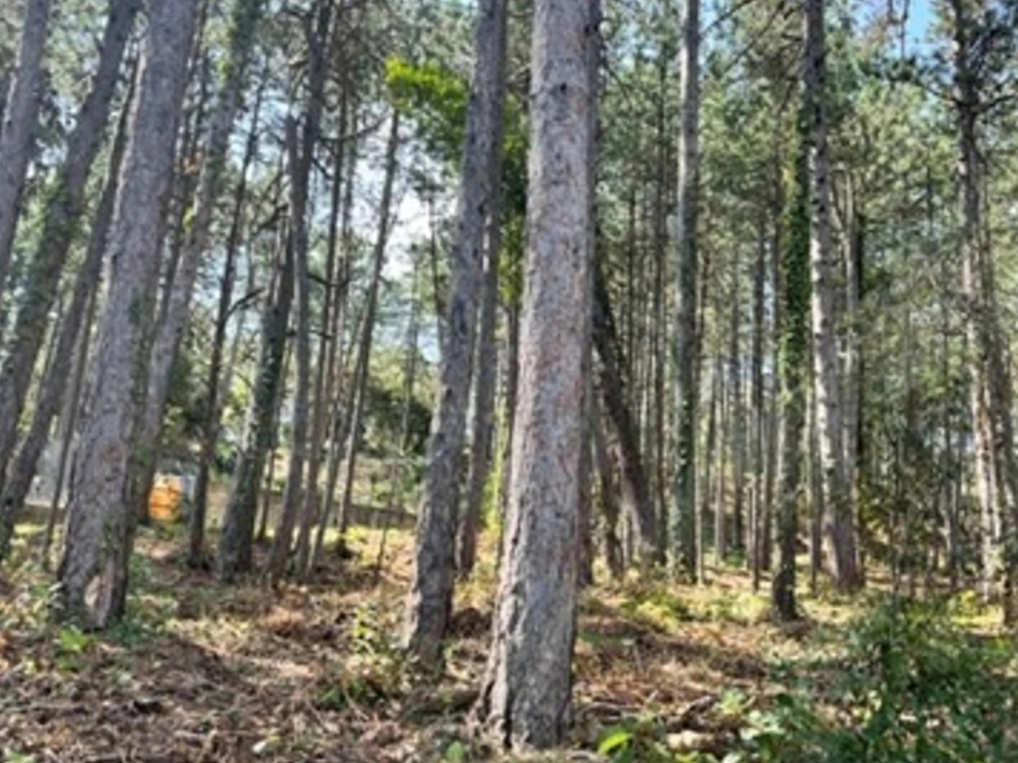 Terrain à vendre - 3577m2 - Bourg-Saint-Andéol (07700)