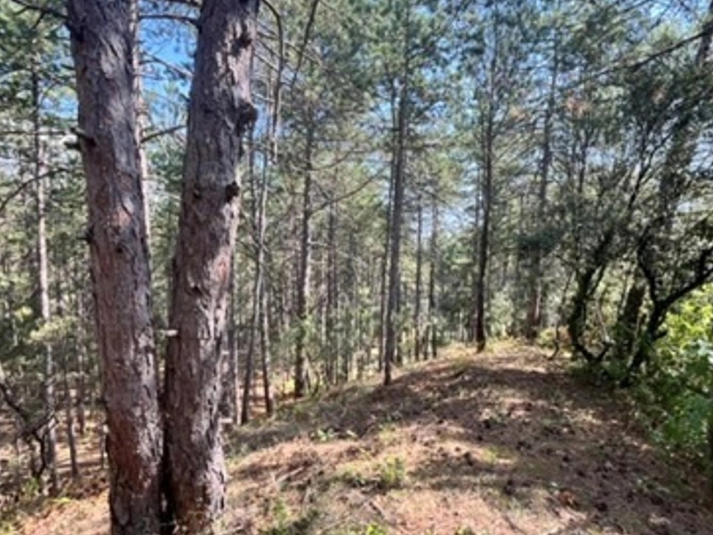 Terrain à vendre - 3577m2 - Bourg-Saint-Andéol (07700)