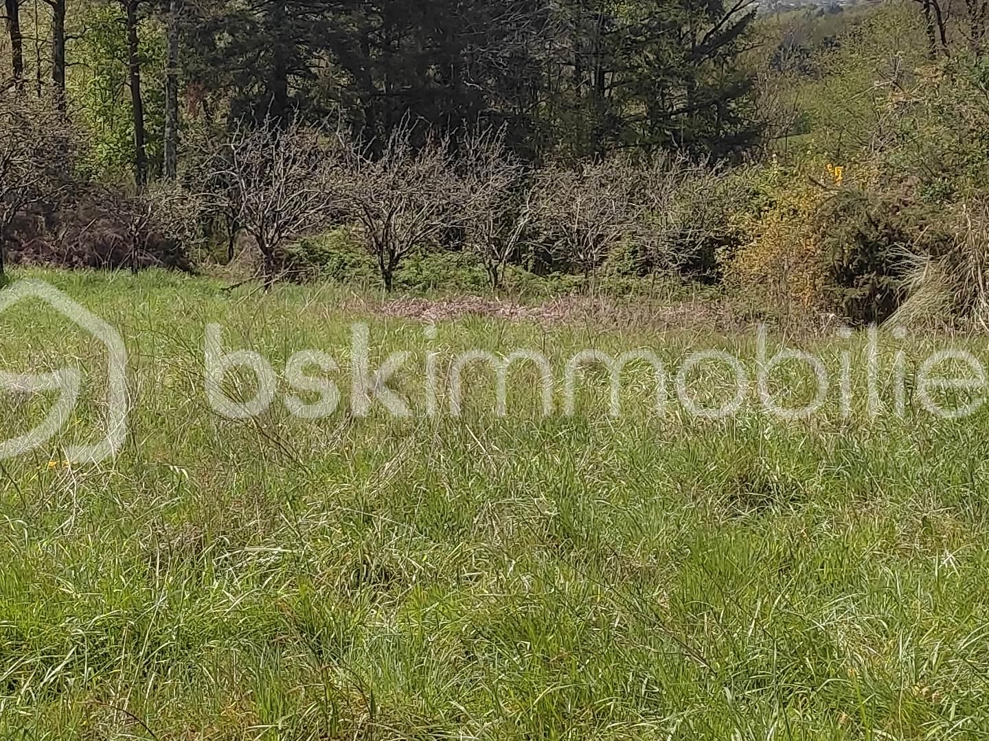 Terrain à vendre - 4296m2 - Brignac-La-Plaine (19310)