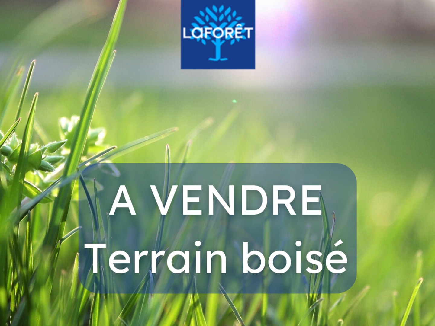 Terrain 329 m²