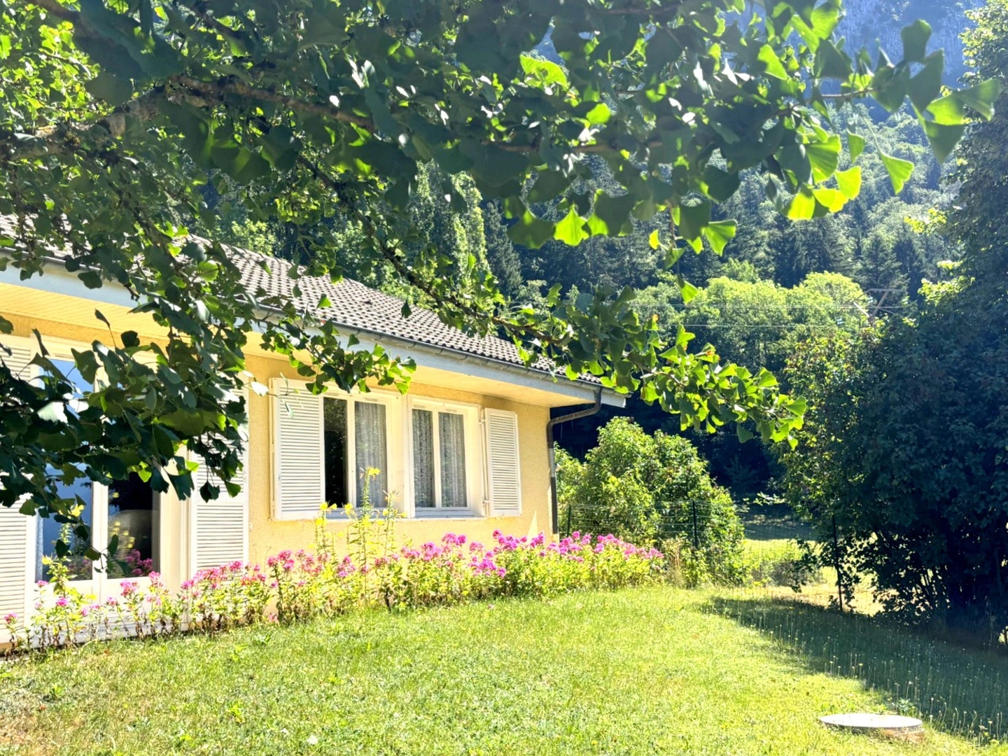 Maison plain-pied- Terrain 4020m2- Saint-Jeoire (74490)