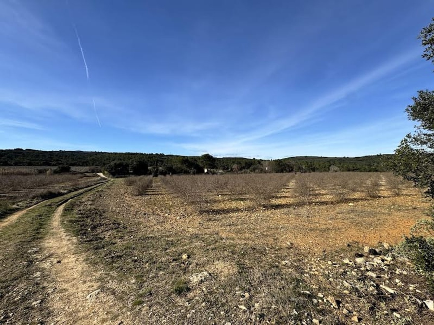 Terrain à vendre - Fons (30730)