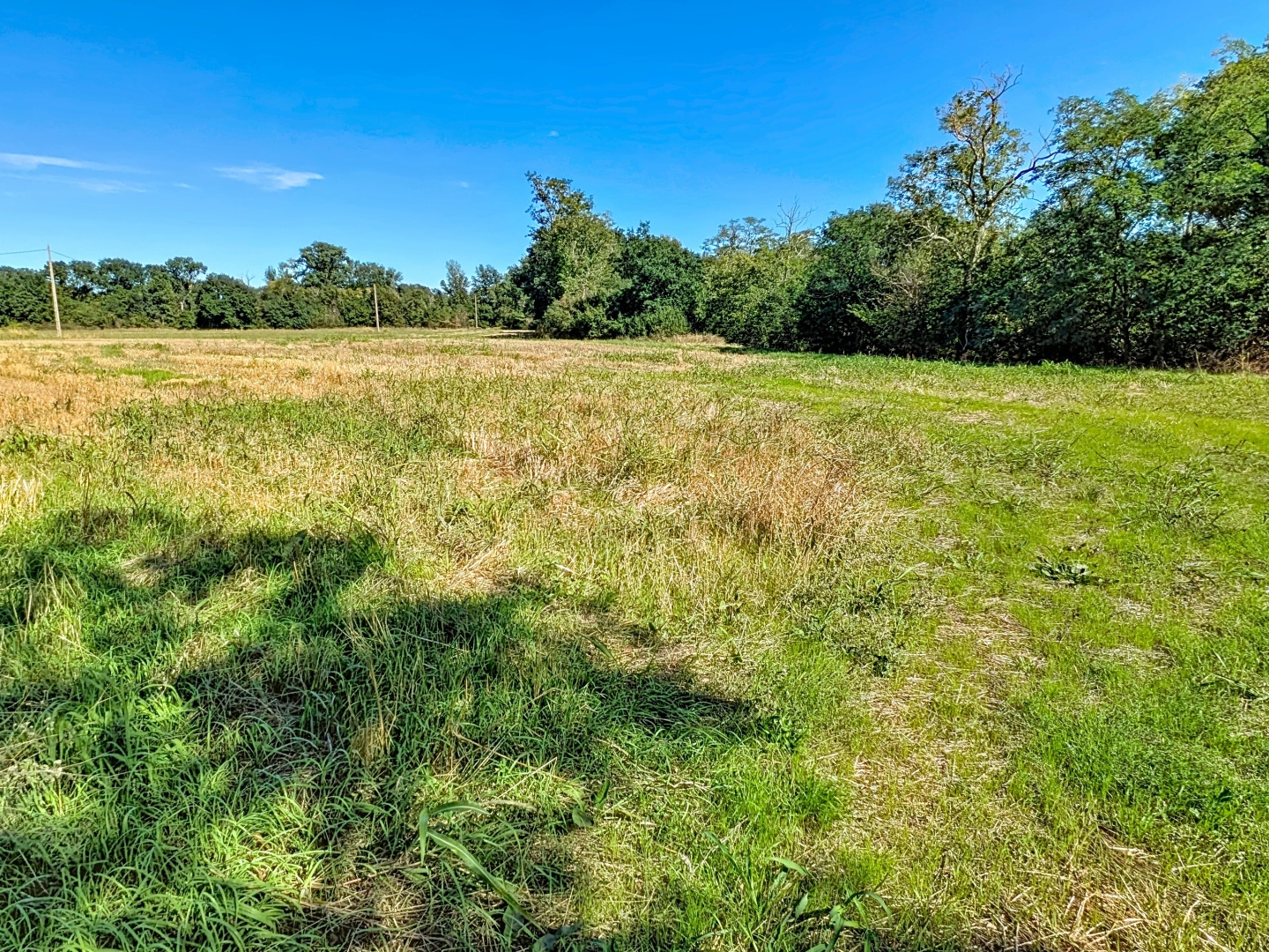 Magnifique terrain de 18 331 m² dont 2 860 m² constructibles