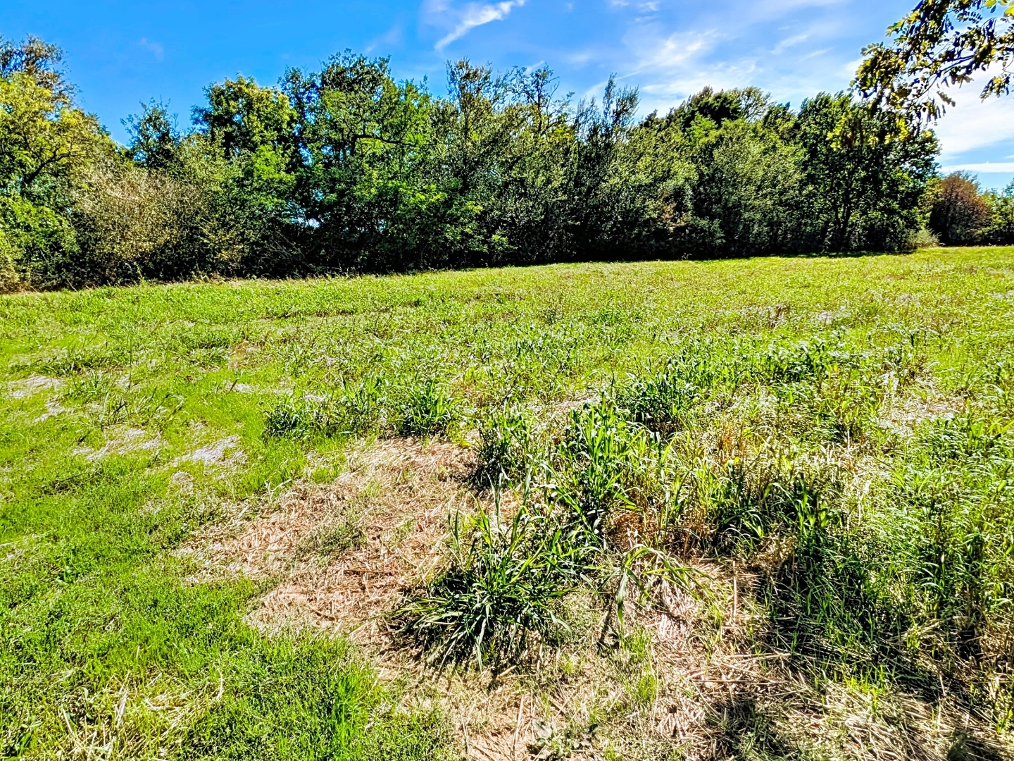Terrain à vendre - 18331m2 - Labarthe-Sur-Lèze (31860)