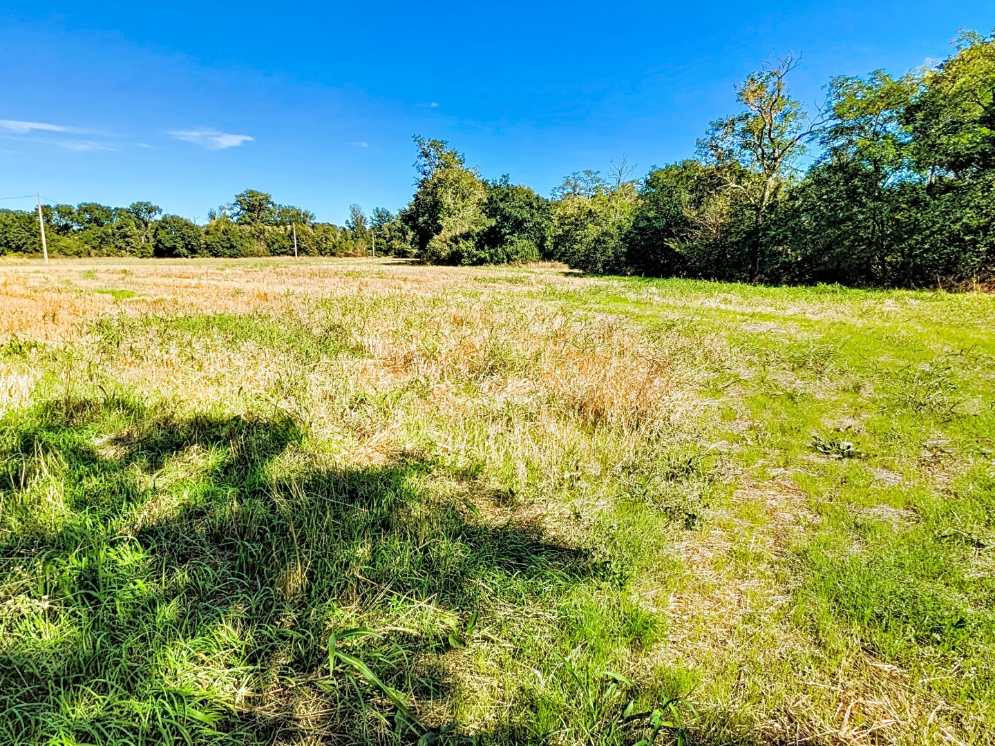 Terrain à vendre - 18331m2 - Labarthe-Sur-Lèze (31860)
