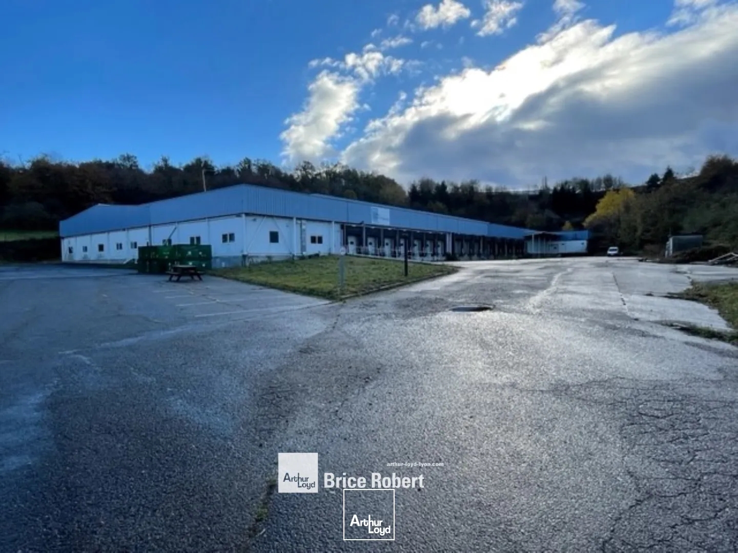 Locaux à vendre - 4929m2 - Saint-Étienne (42000)