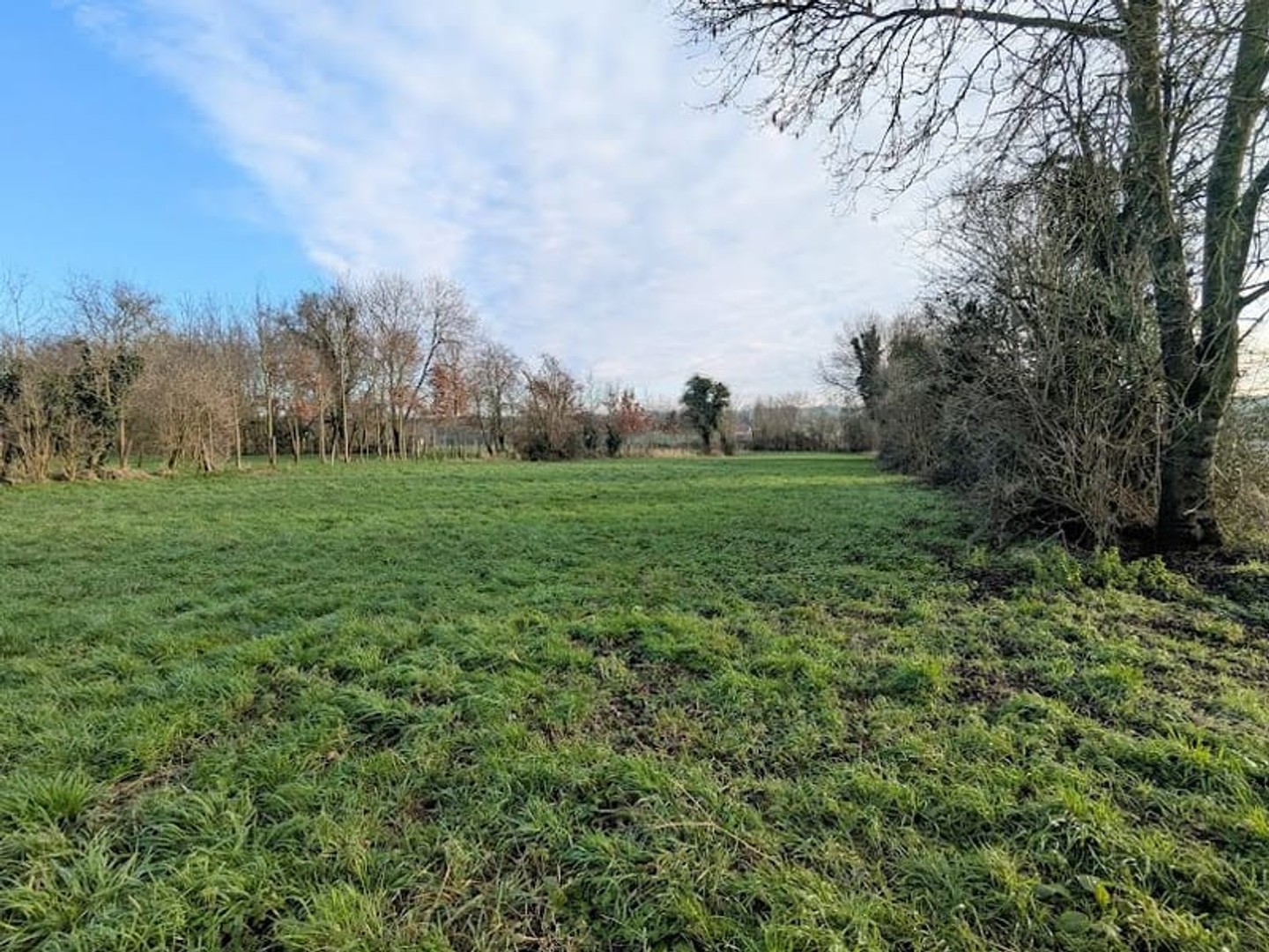 Terrain 1000 m²