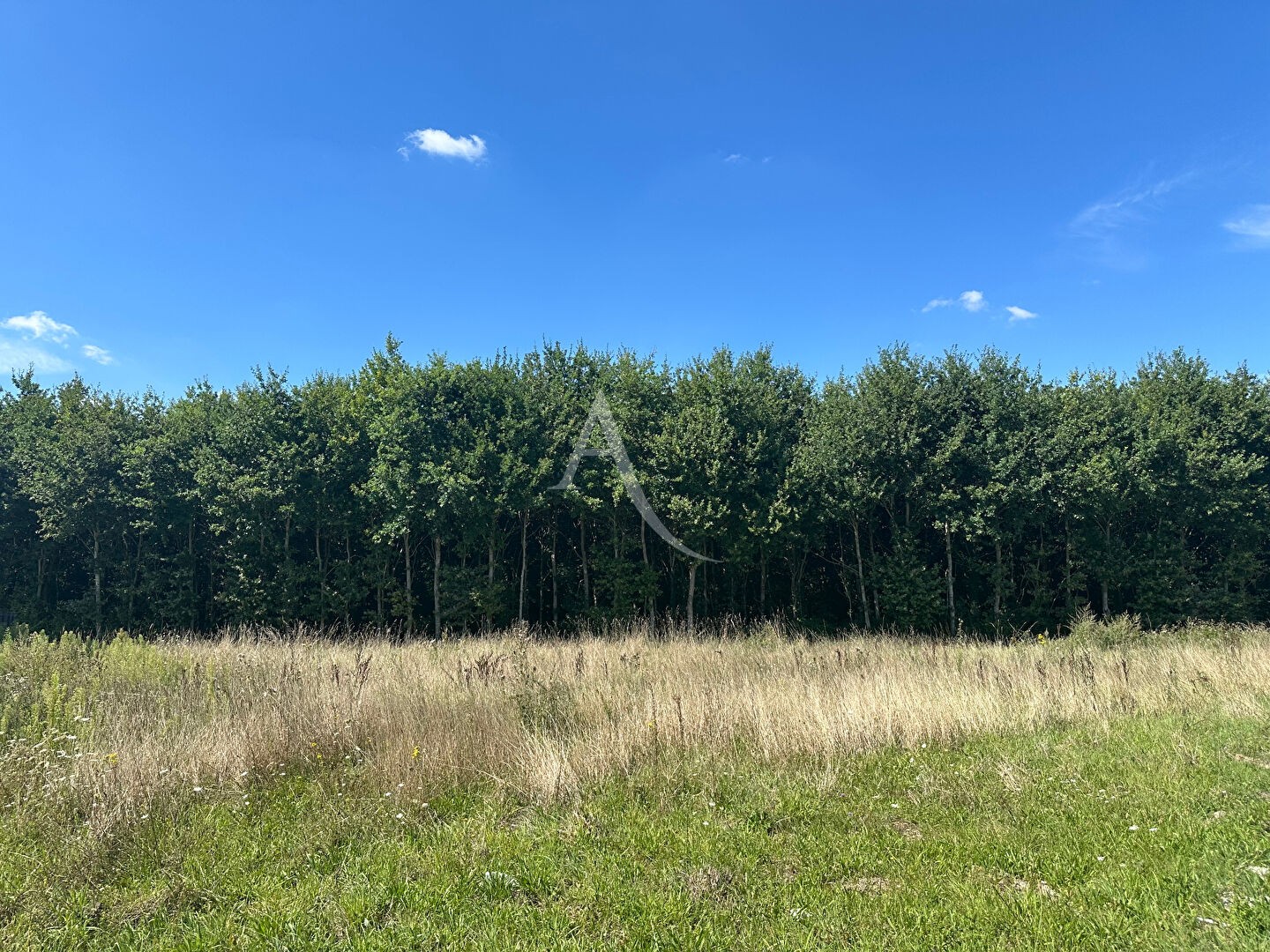 Terrain constructible à Boigny-sur-Bionne (45760) ? 970 m²