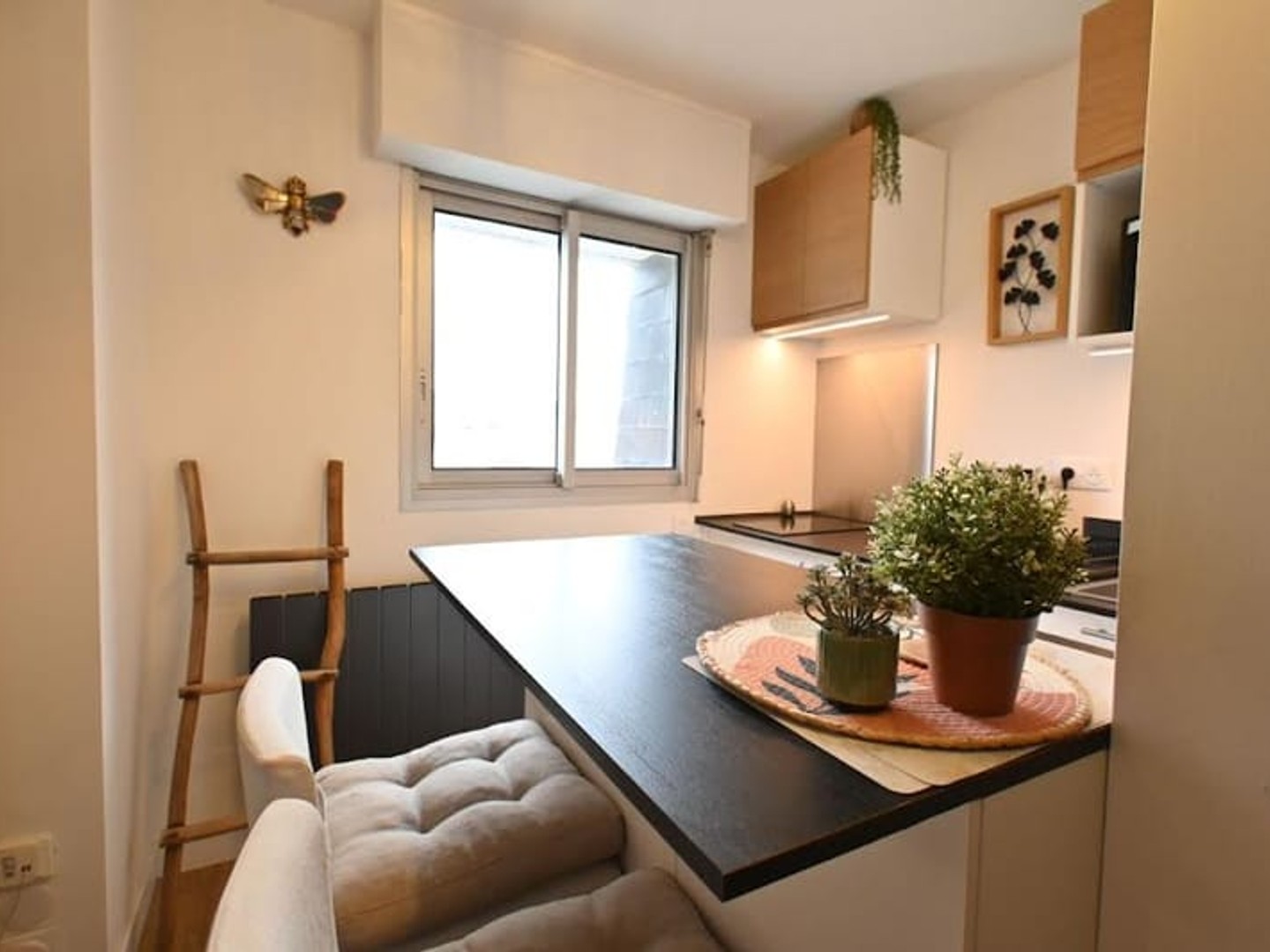 Appartement 2 pièces 19 m²