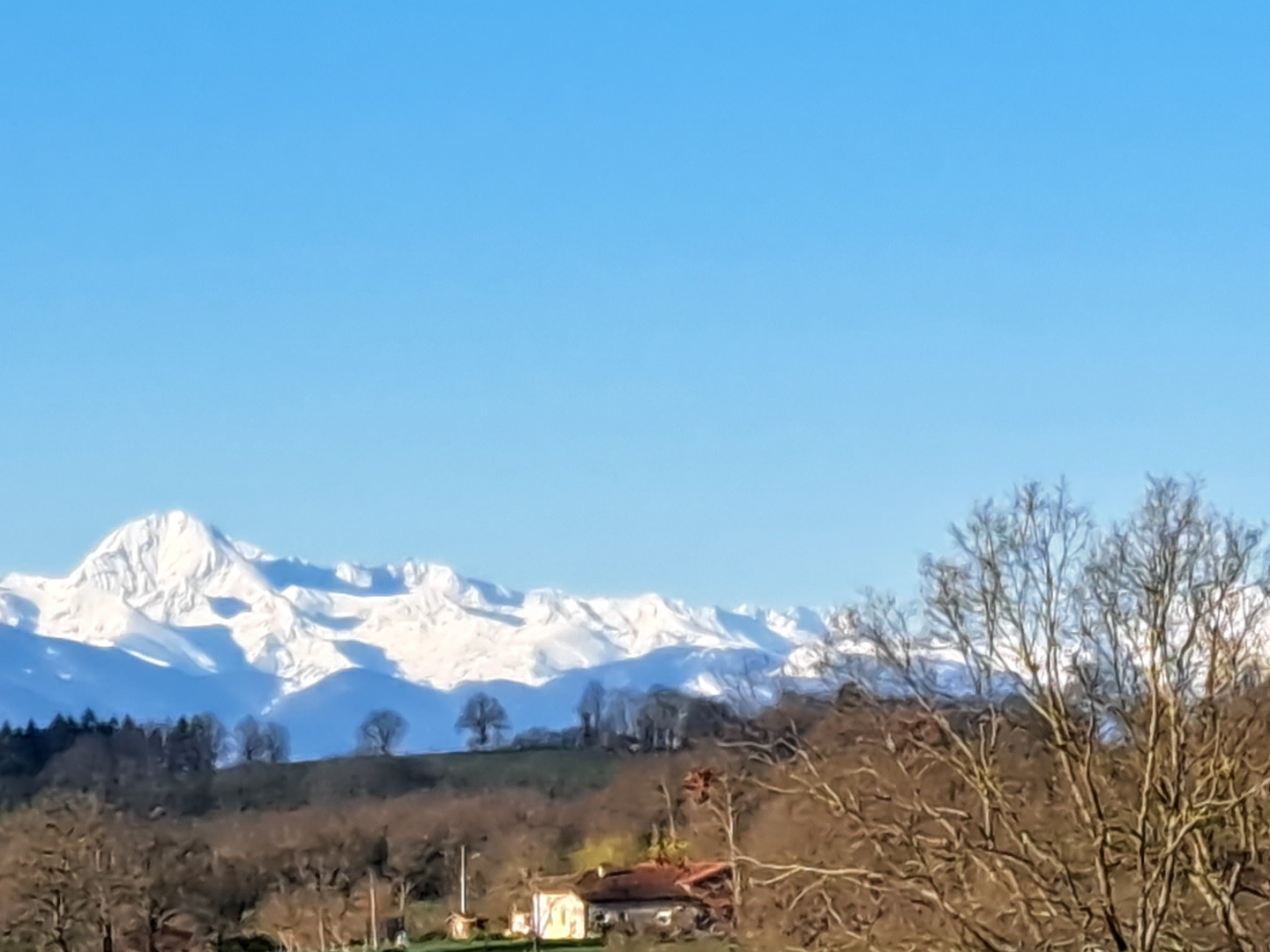 Terrain en individuel 2300 m²