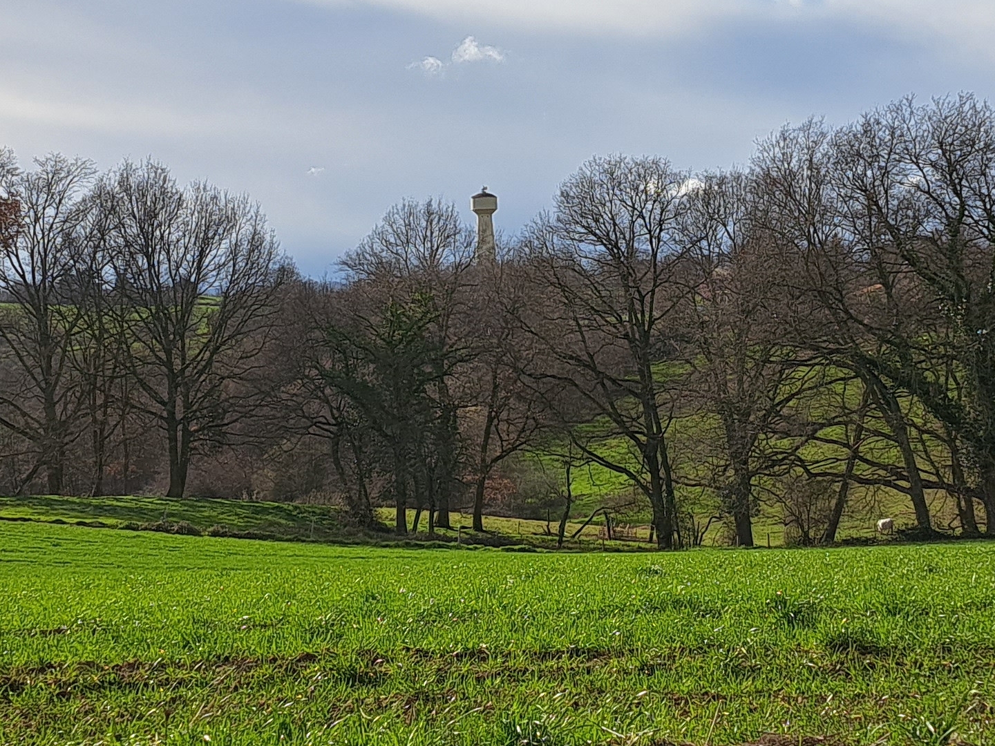 Terrain à vendre - 2300m2 - Aurignac (31420)