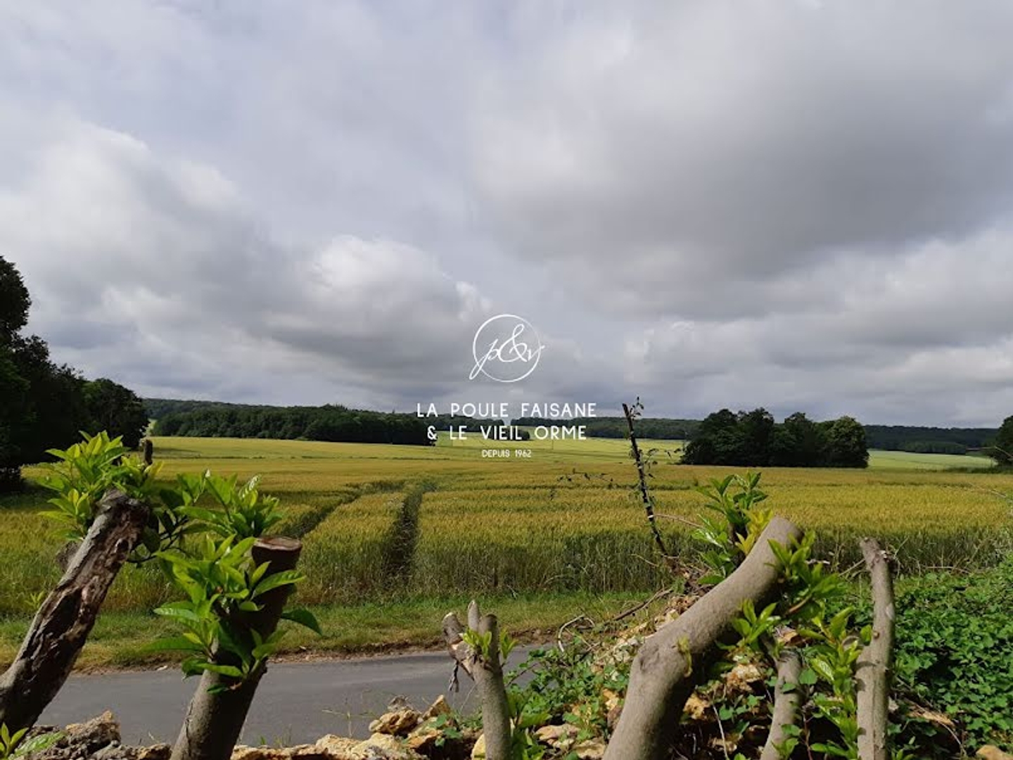 Terrain à vendre - 932m2 - La Hauteville (78113)