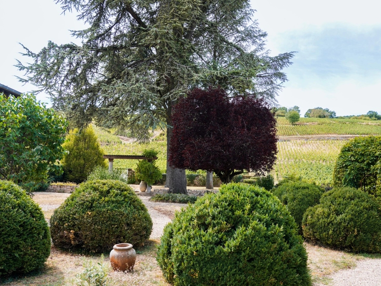 Maison à vendre - 11 pièces - 290m2 - Mâcon (71000)
