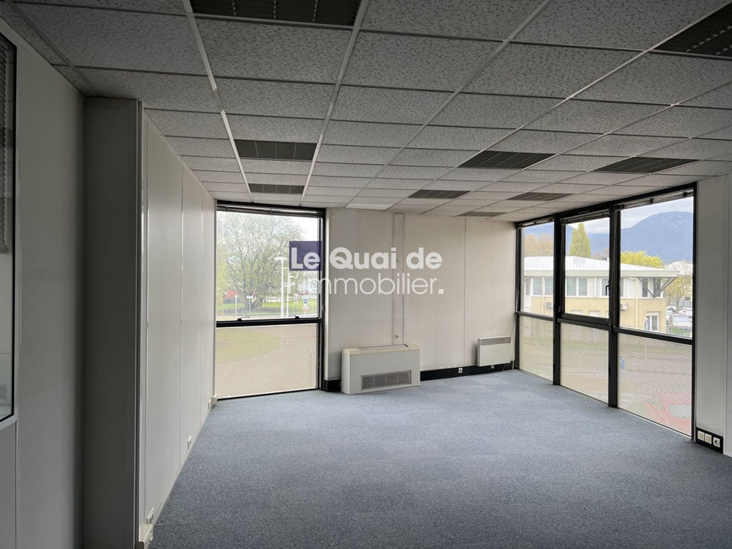 Bureaux à vendre - Eybens (38320)