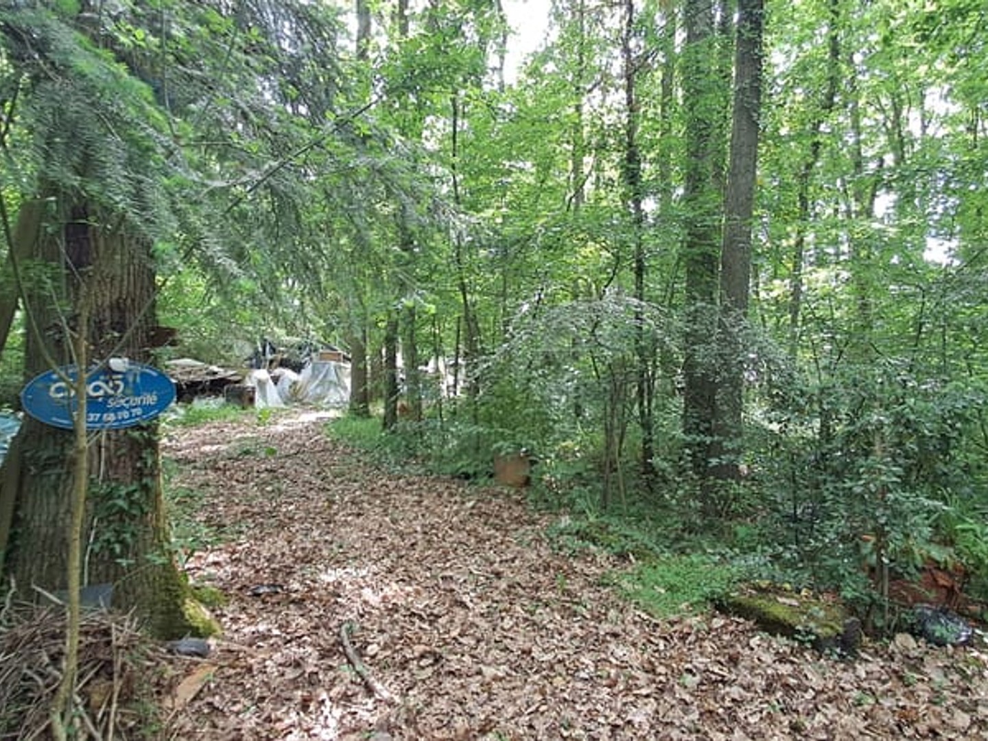 TERRAIN DE LOISIRS EN PARCELLE DE BOIS NON CONSTRUCTIBLE d'une superficie de 6 925 m2.