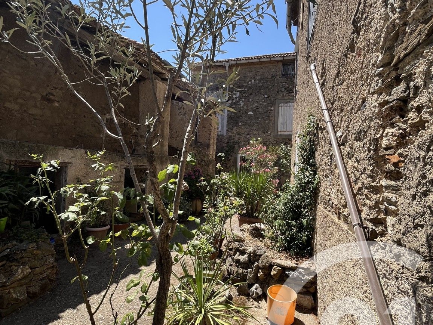 Maison à vendre - 8 pièces - 499m2 - Limousis (11600)