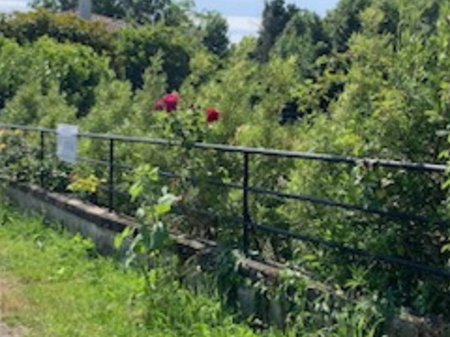 Terrain à vendre - 767m2 - La Laigne (17170)