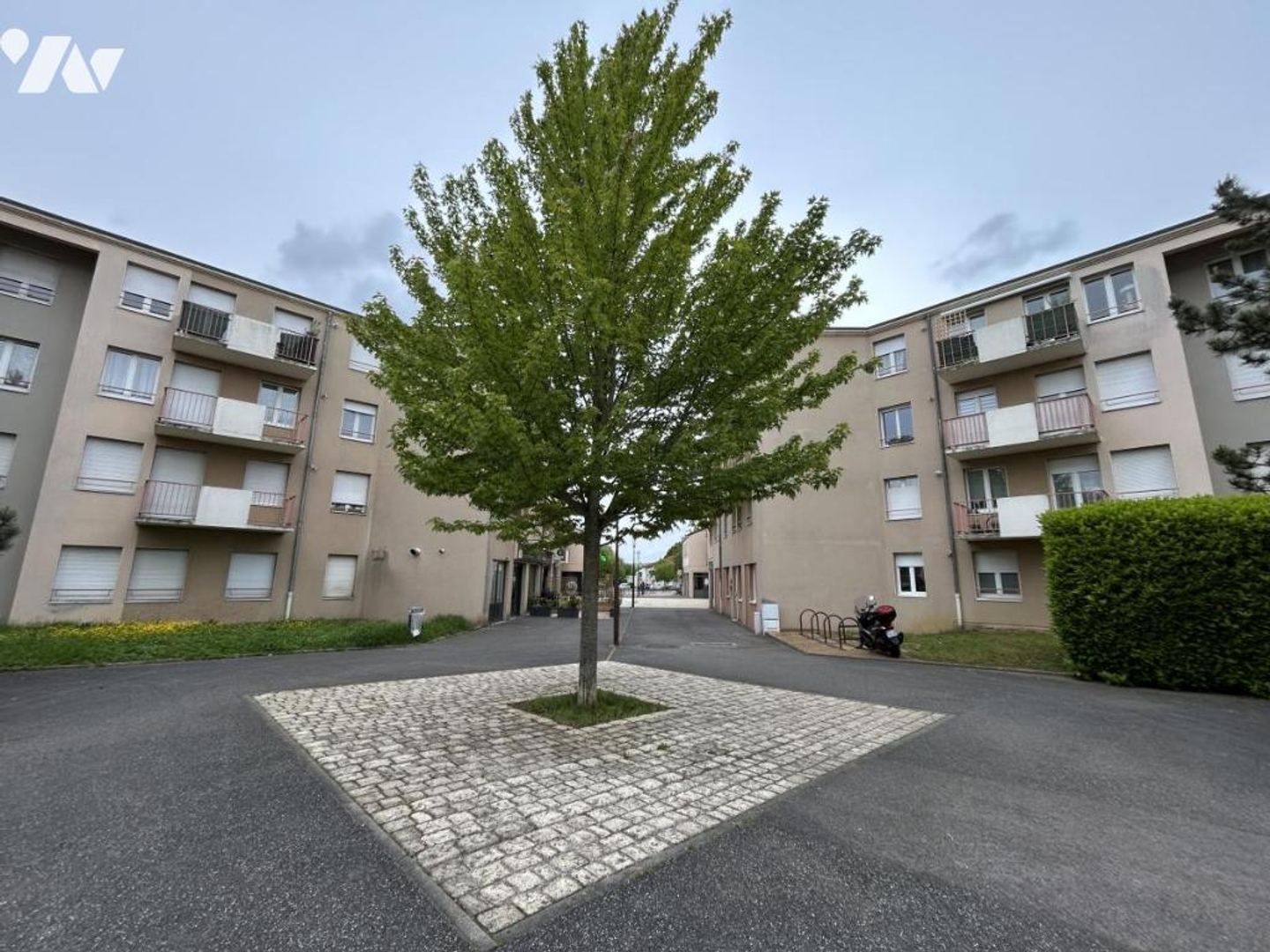Local 55 m²