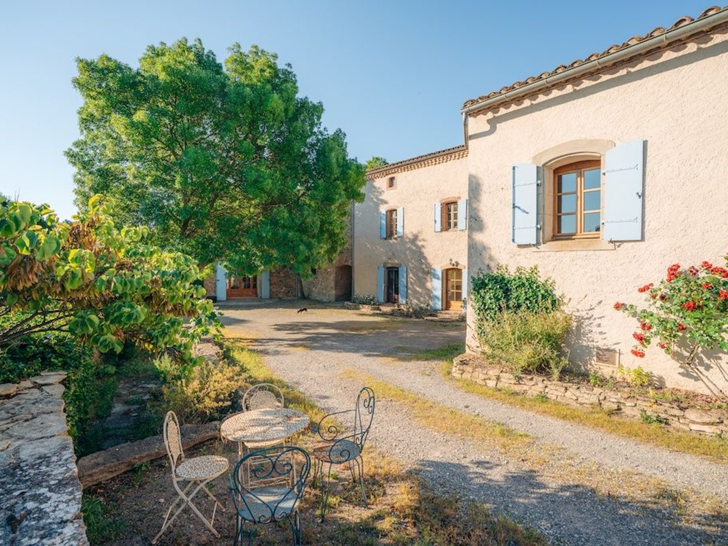 Maison à vendre - 10 pièces - 520m2 - La Liviniere (34210)