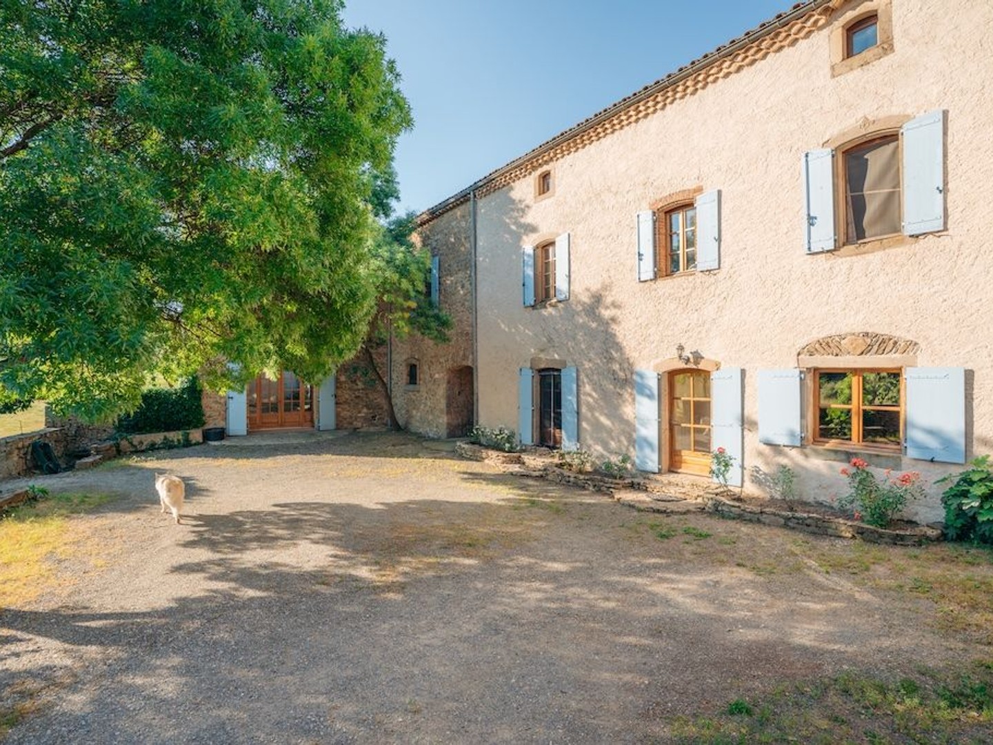 Maison à vendre - 10 pièces - 520m2 - La Liviniere (34210)