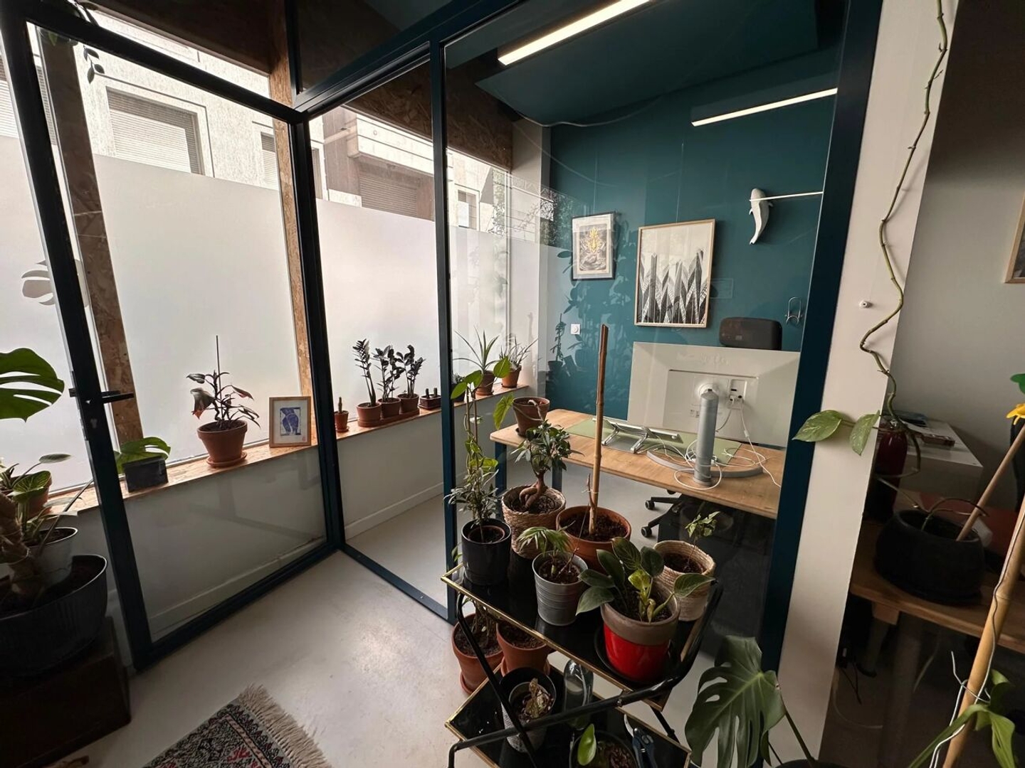 Magasin à vendre - 182m2 - Montpellier (34000)