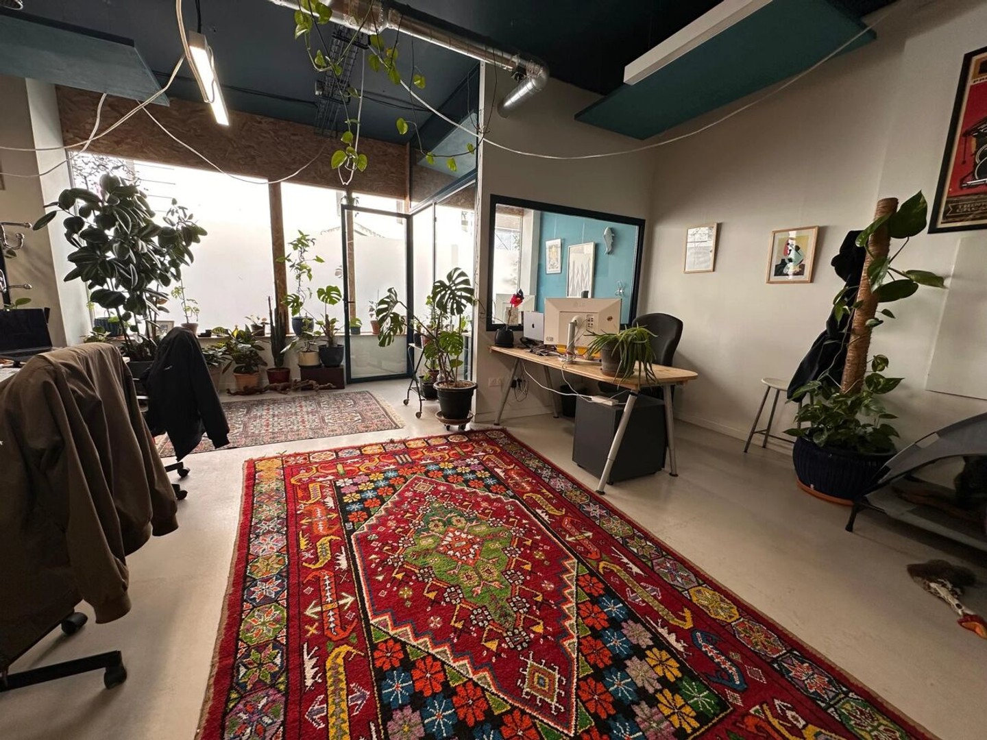 Magasin à vendre - 182m2 - Montpellier (34000)