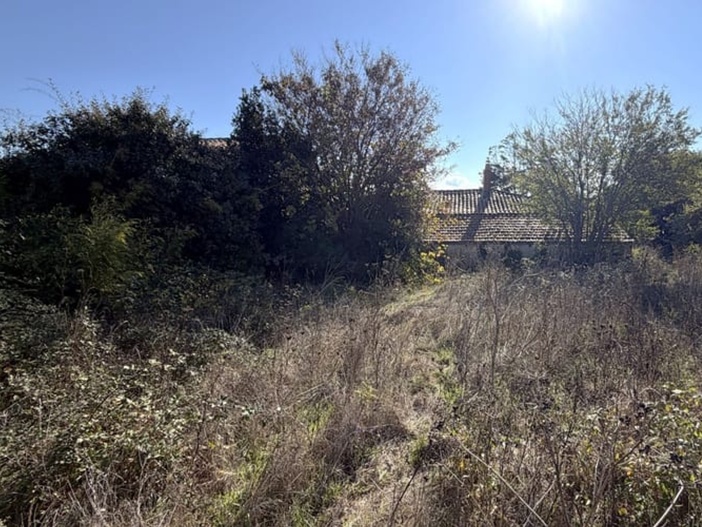 Maison à vendre - 3 pièces - 70m2 - Nieul-Sur-Mer (17137)