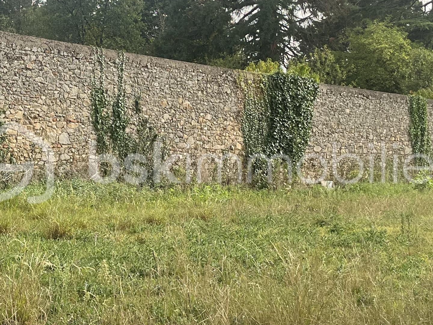 Terrain 7084 m²