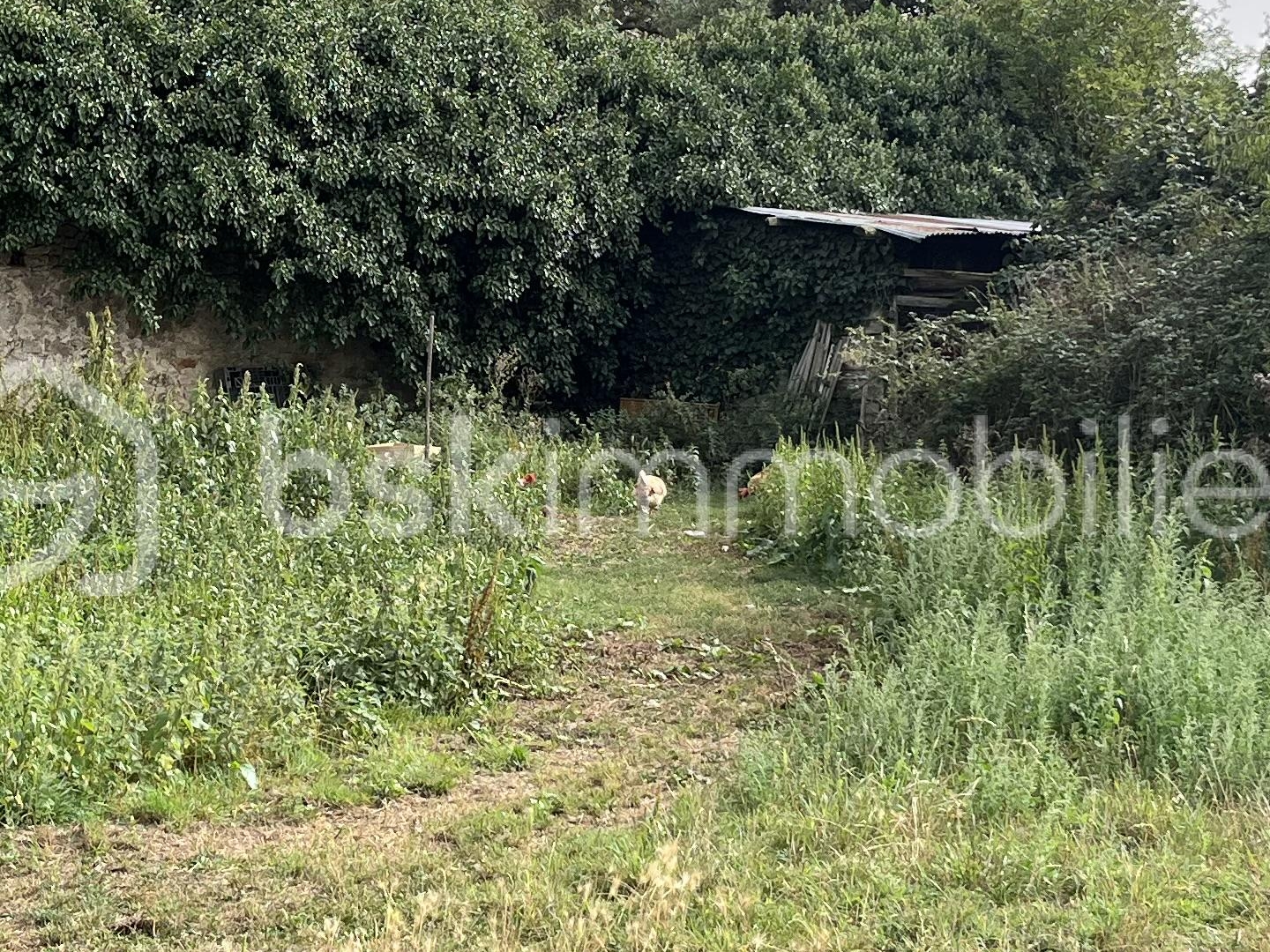 Terrain à vendre - 7084m2 - Nueil-Les-Aubiers (79250)