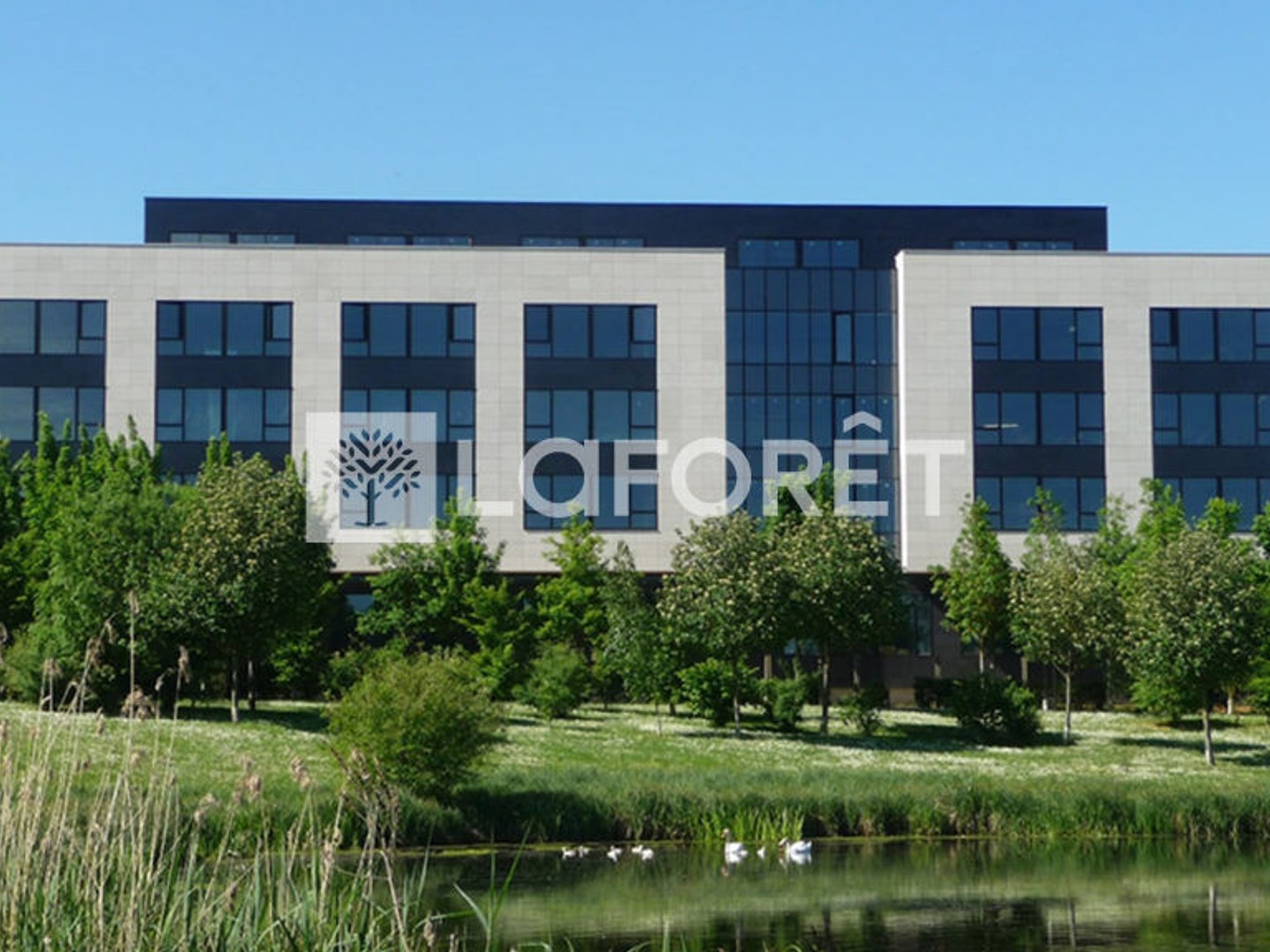 Bureaux 80 m²