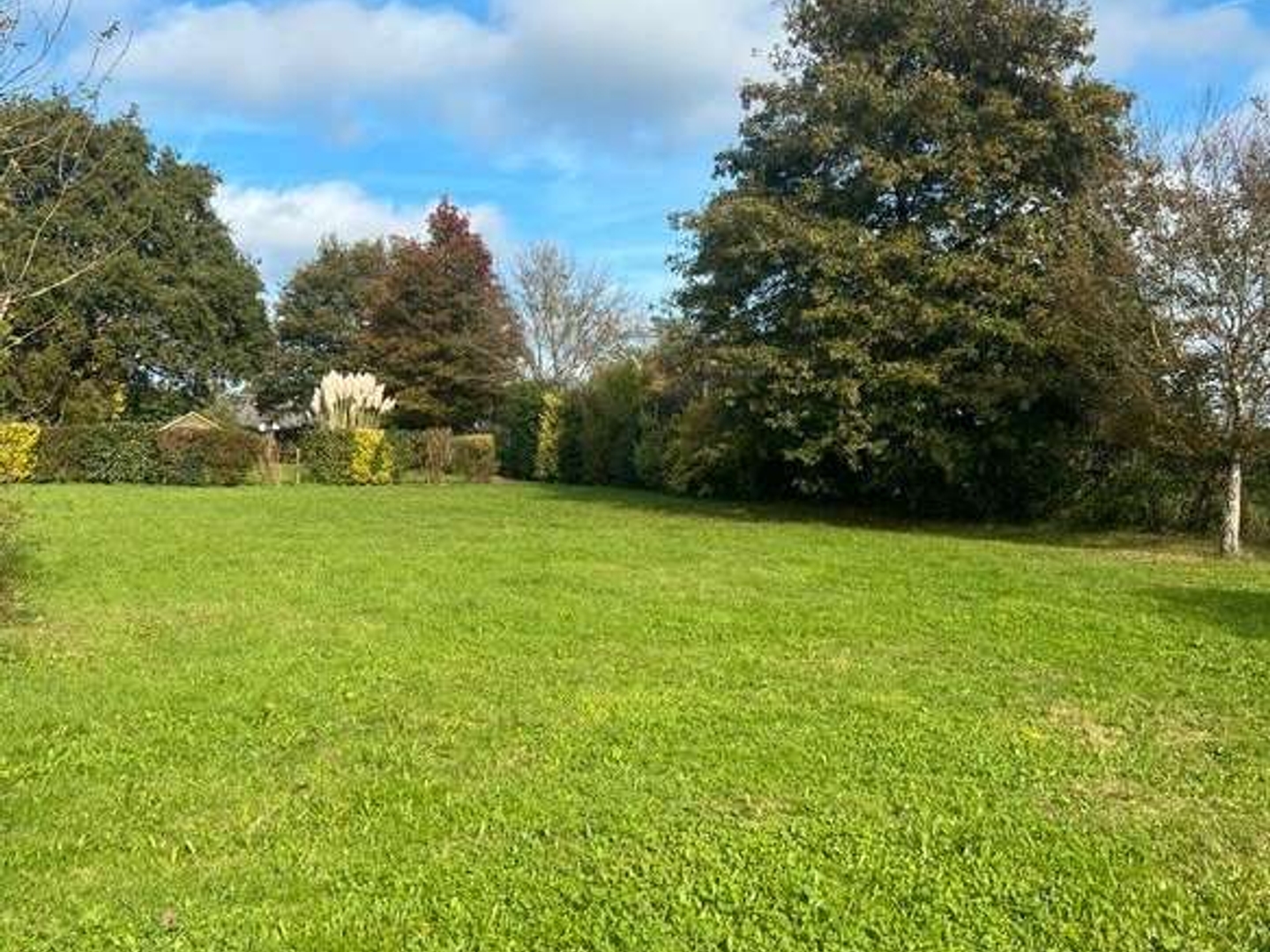 Terrain 590 m²