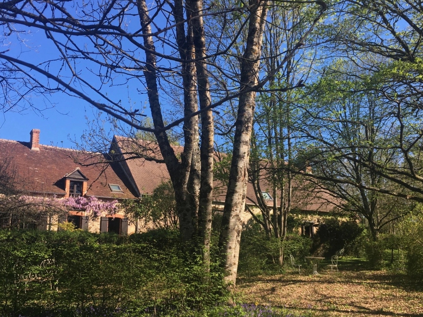 Maison à vendre - 11 pièces - 315m2 - Bétête (23270)