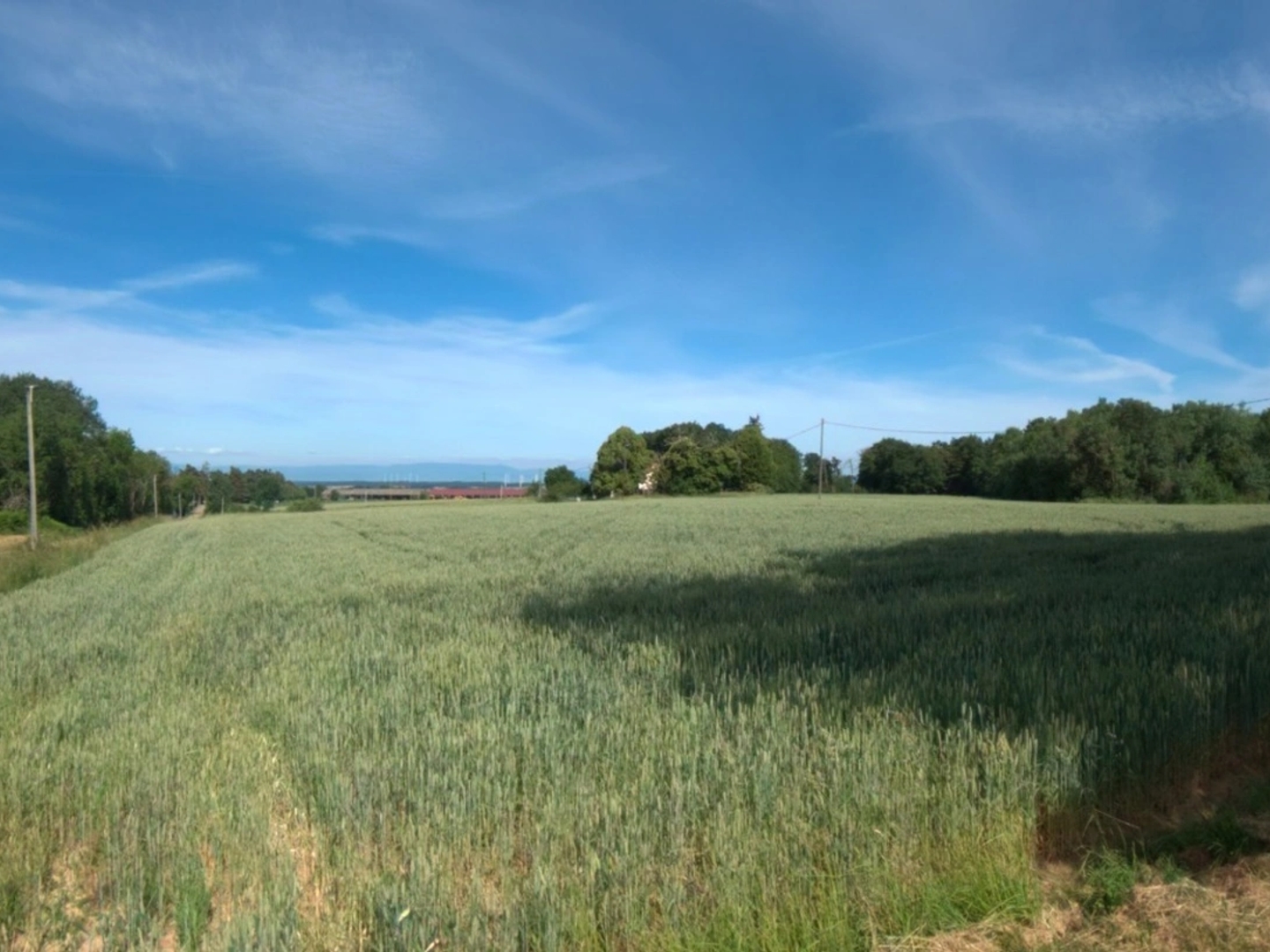 Terrain 8828 m²