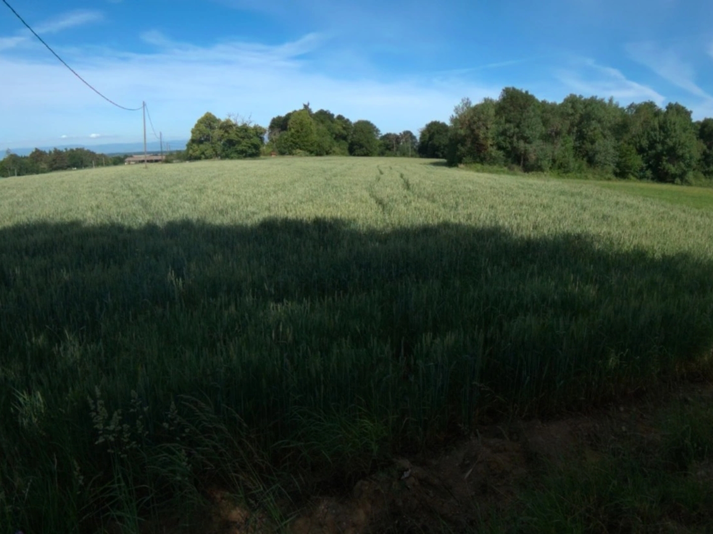 Terrain à vendre - 8828m2 - Roybon (38940)