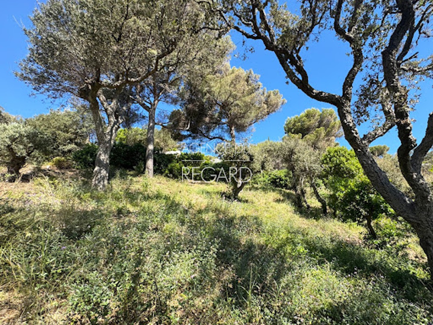 Terrain à vendre - 651m2 - Bormes-Les-Mimosas (83230)