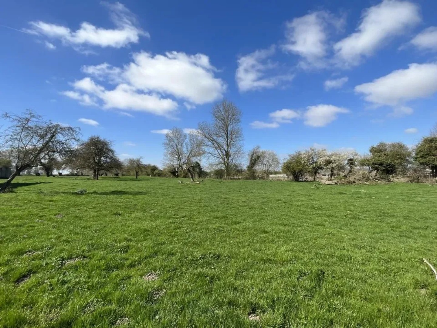 Terrain 2500 m²